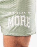 LDB More Mesh Short 6" - Sage